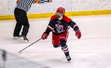 Top boys prep hockey performers from Feb. 8